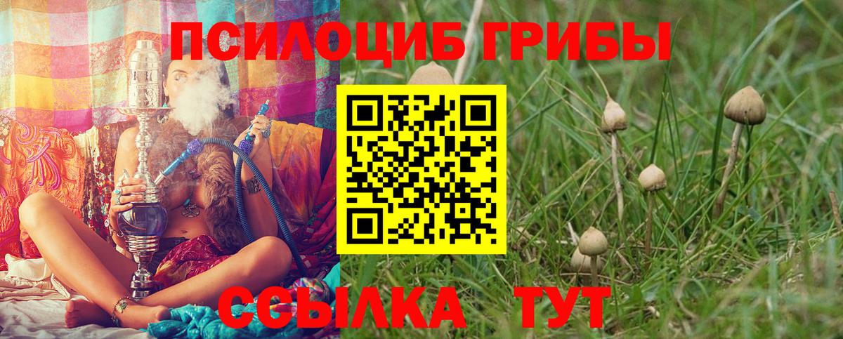 Псилоцибиновые грибы Psilocybine cubensis  Вход с VPN  Томск 