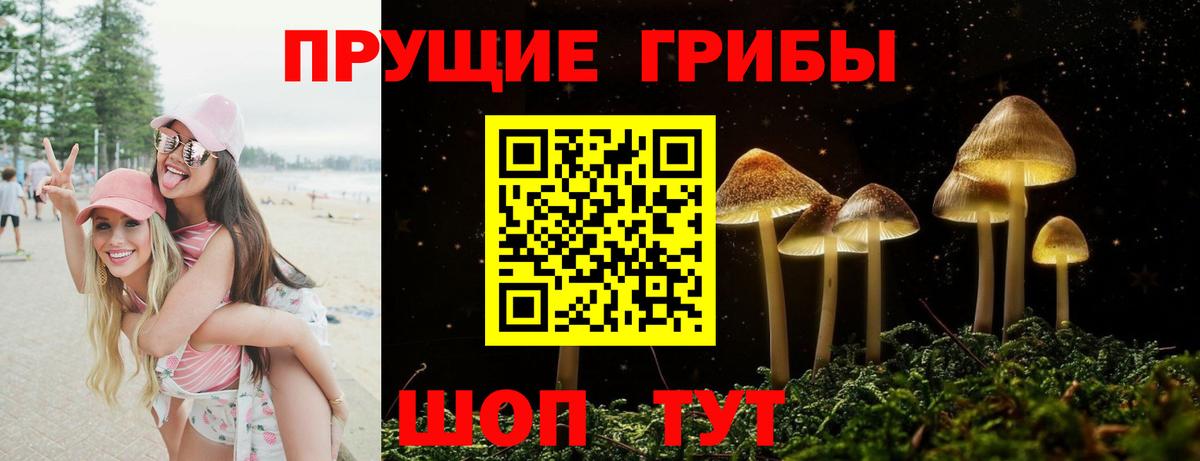 Галлюциногенные грибы мухоморы Томск