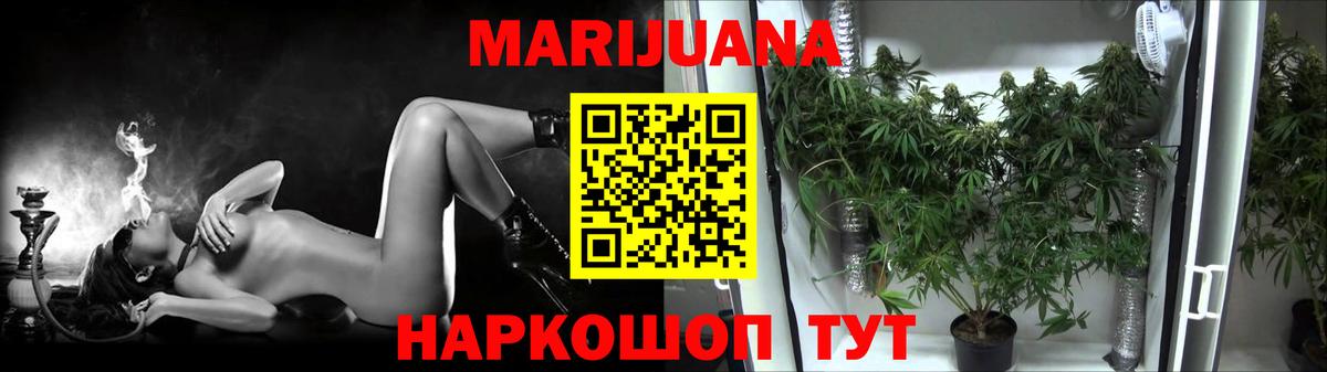Конопля марихуана Томск